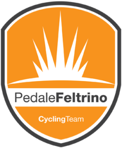 pedale feltrino